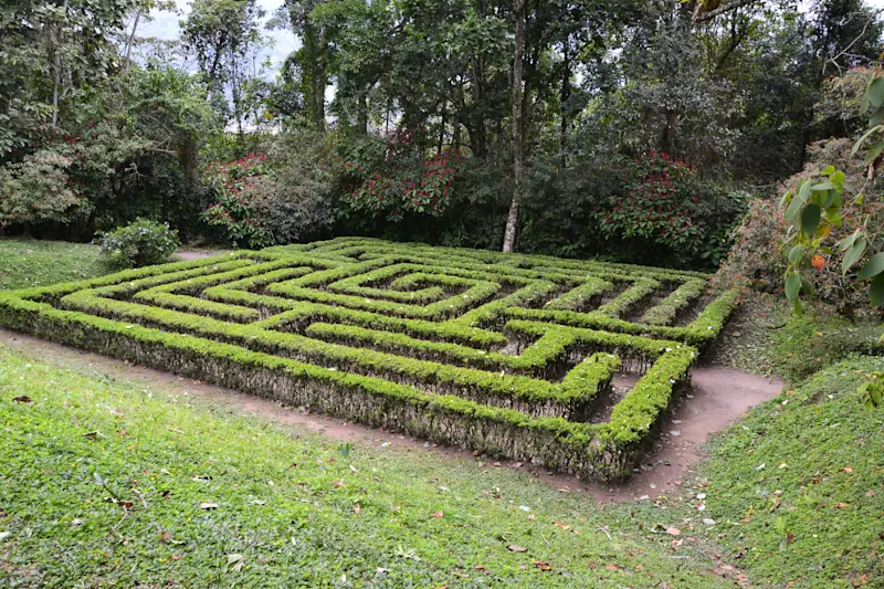 Photo from Quindio, Colombia