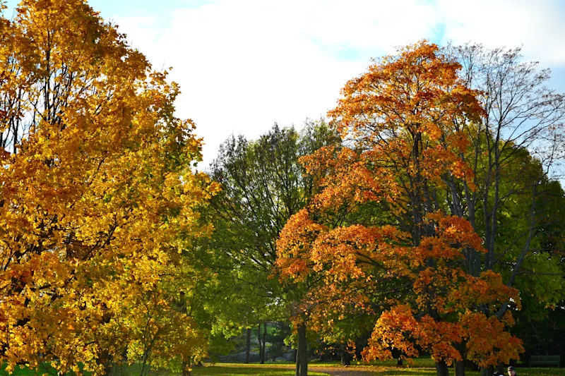 Photo from Helsinki, Finland