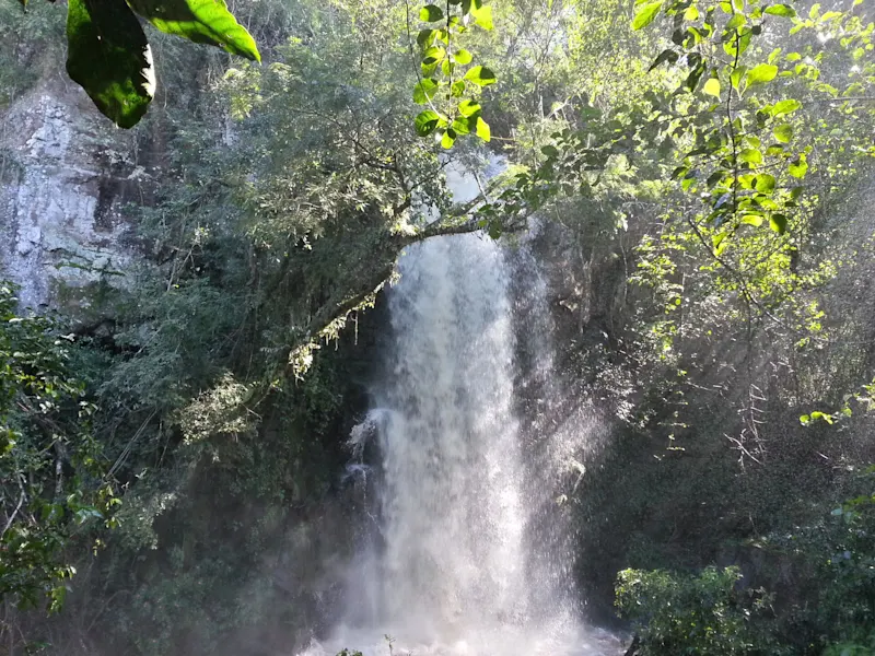 Photo from Iguazu Falls, Brazil