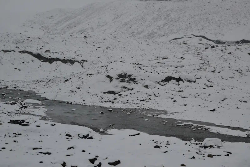 Photo from Icefields Parkway, Canada