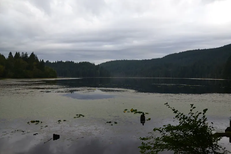 Photo from Bowen Island, Canada