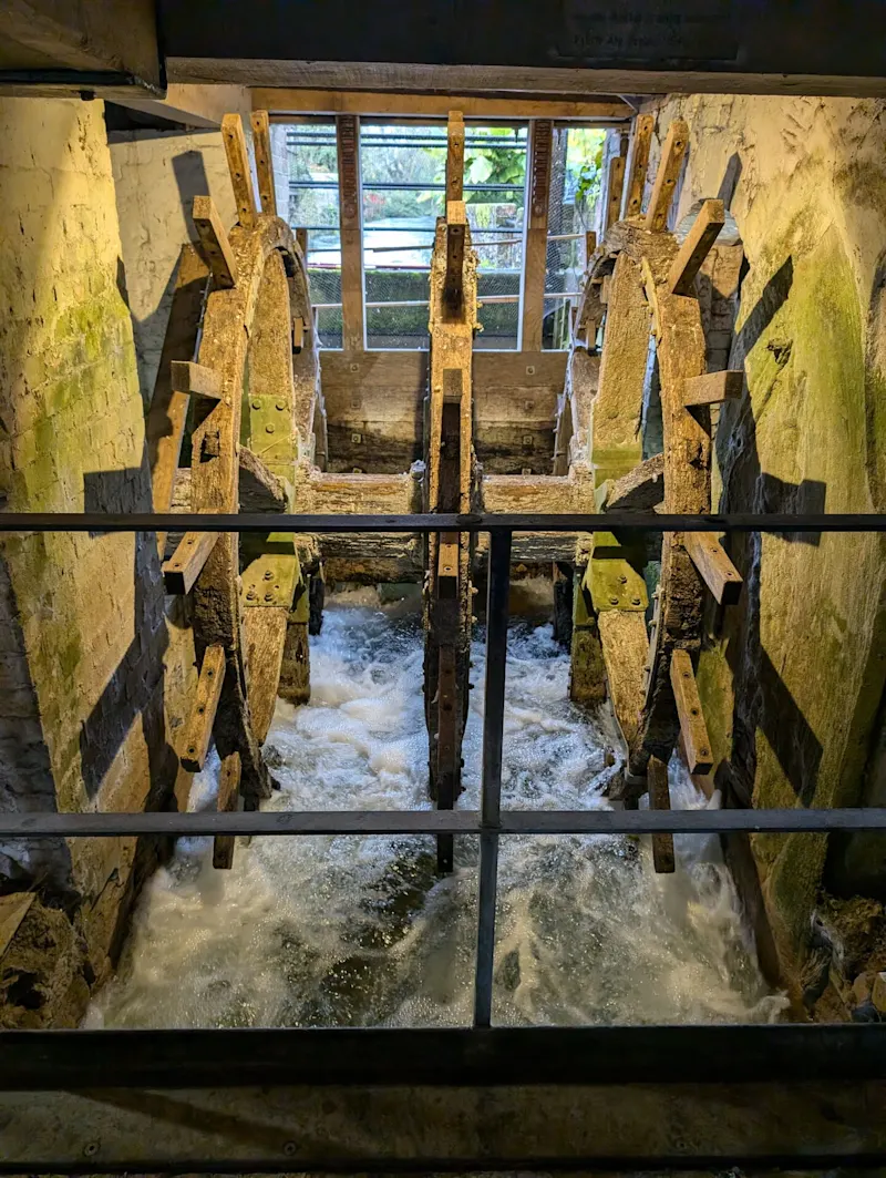 Photo from Winchester, England