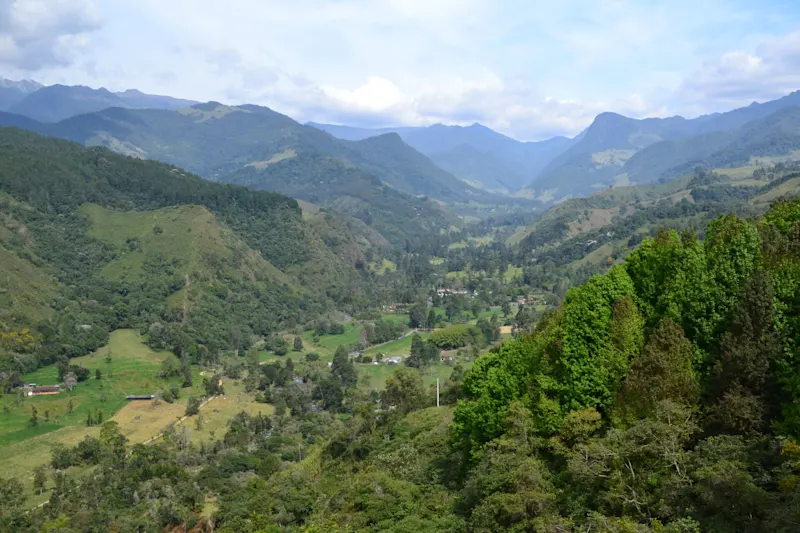 Photo from Quindio, Colombia