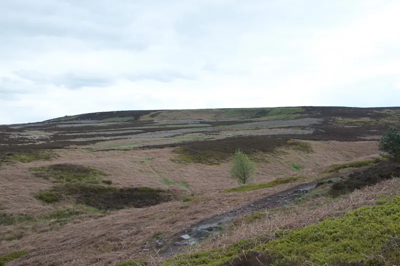 Photo from Ilkley, England
