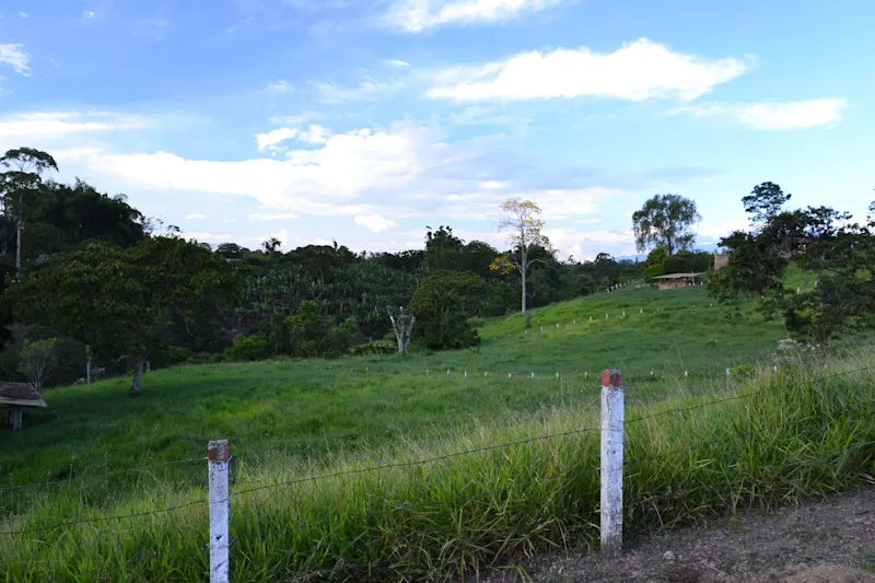 Photo from Quindio, Colombia