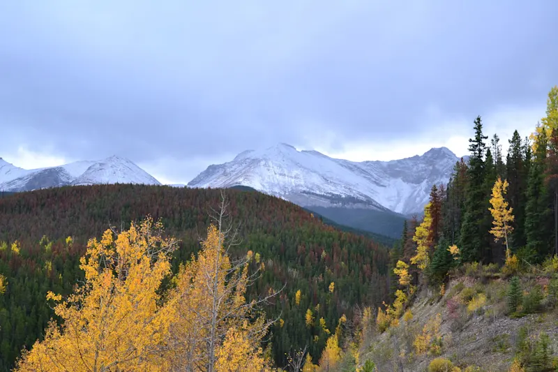 Photo from Jasper, Canada
