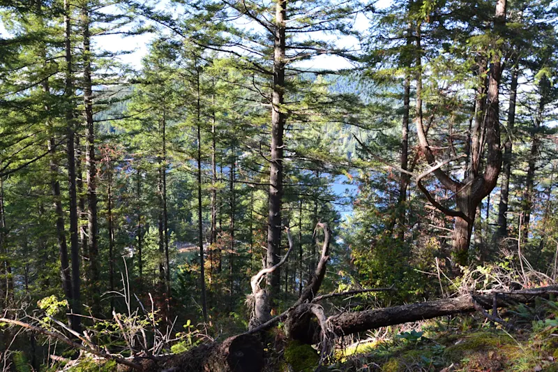 Photo from Bowen Island, Canada