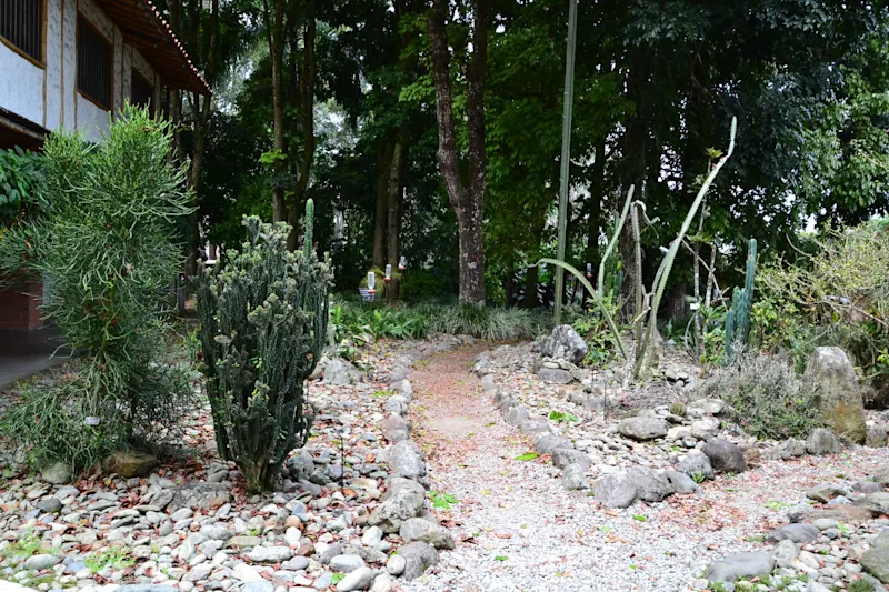 Photo from Quindio, Colombia
