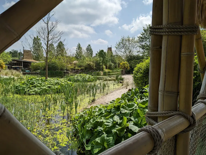Photo from Chester, England