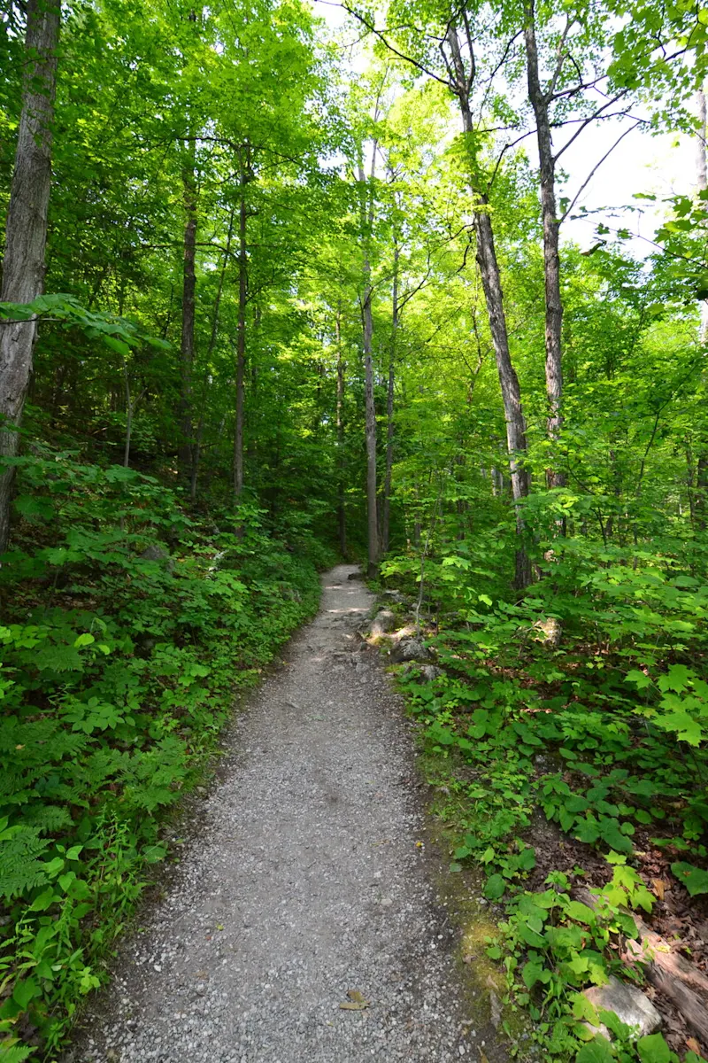 Photo from Ottawa, Canada