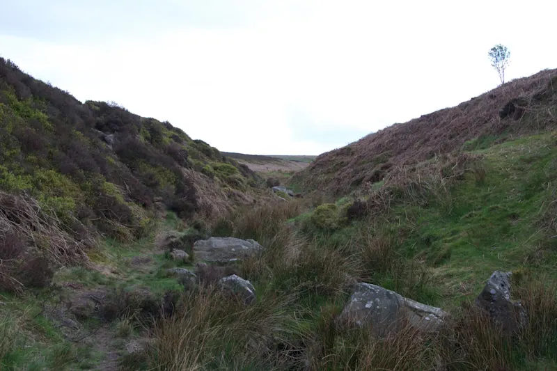 Photo from Ilkley, England
