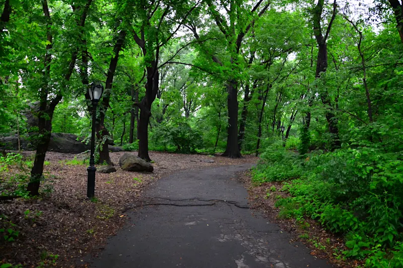 Photo from New York, United States