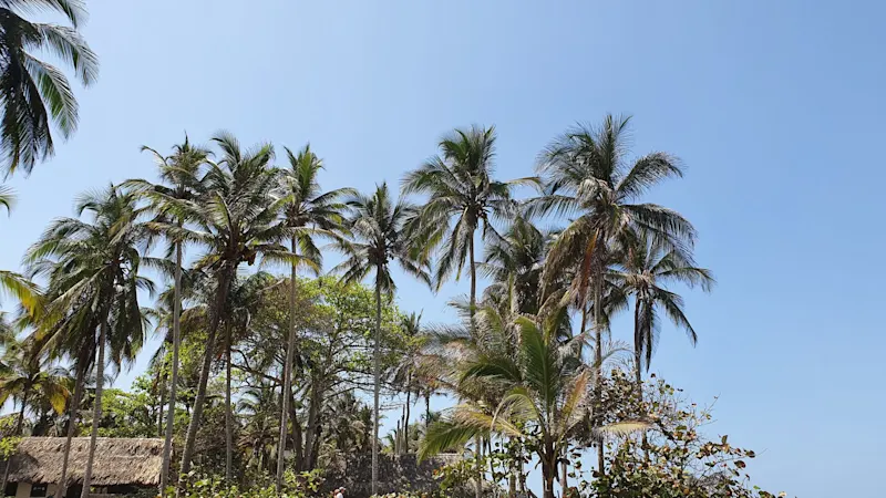 Photo from Palomino, Colombia
