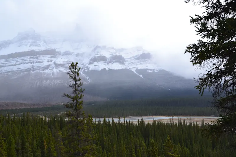 Photo from Icefields Parkway, Canada