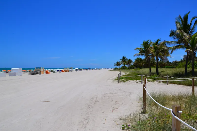 Photo from Miami, United States