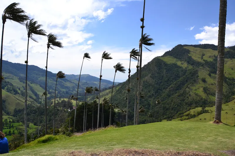 Photo from Quindio, Colombia