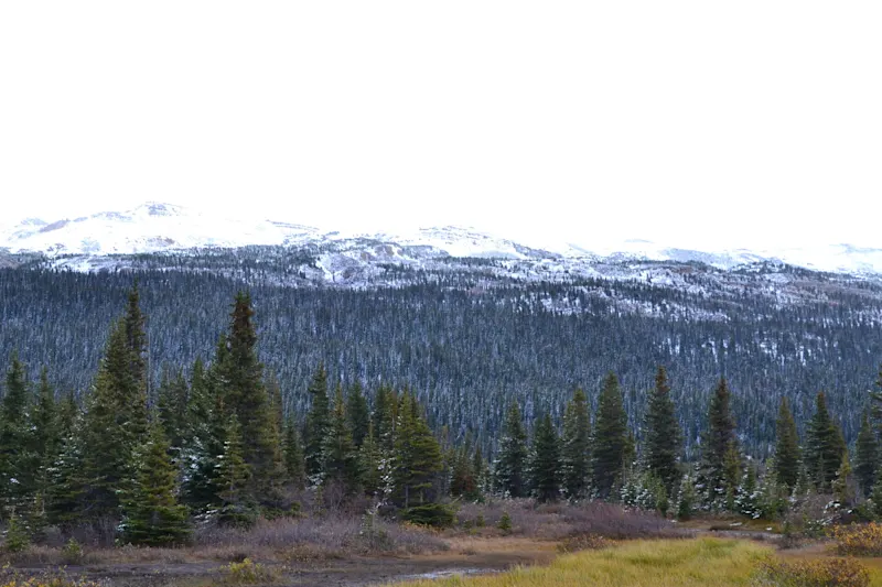 Photo from Icefields Parkway, Canada