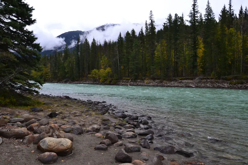 Photo from Yellowhead, Canada