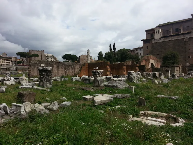 Photo from Rome, Italy