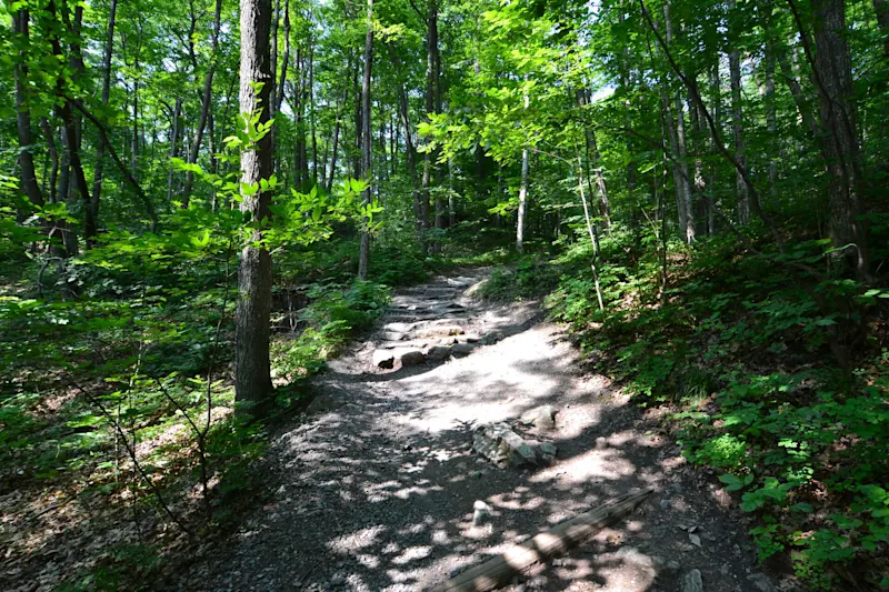 Photo from Ottawa, Canada