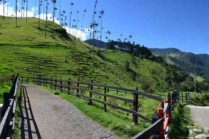 Photo from Quindio, Colombia