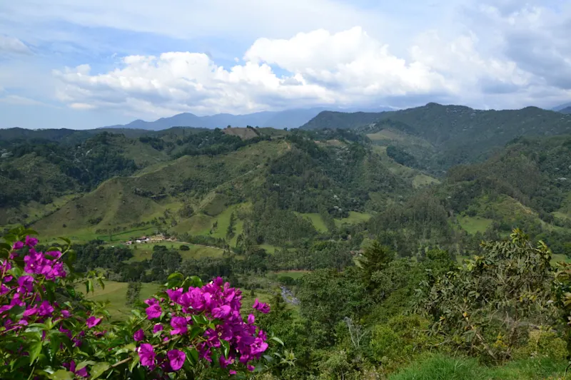 Photo from Quindio, Colombia