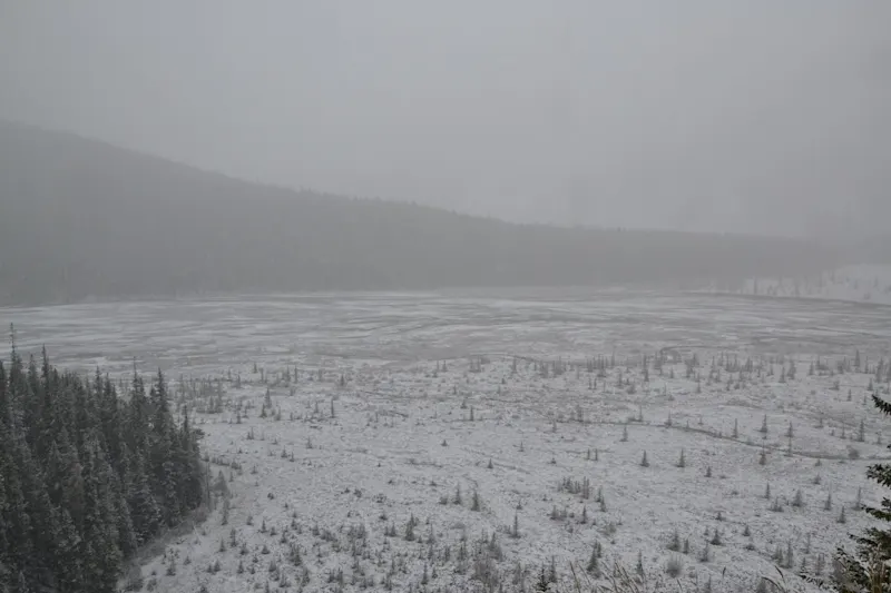Photo from Icefields Parkway, Canada