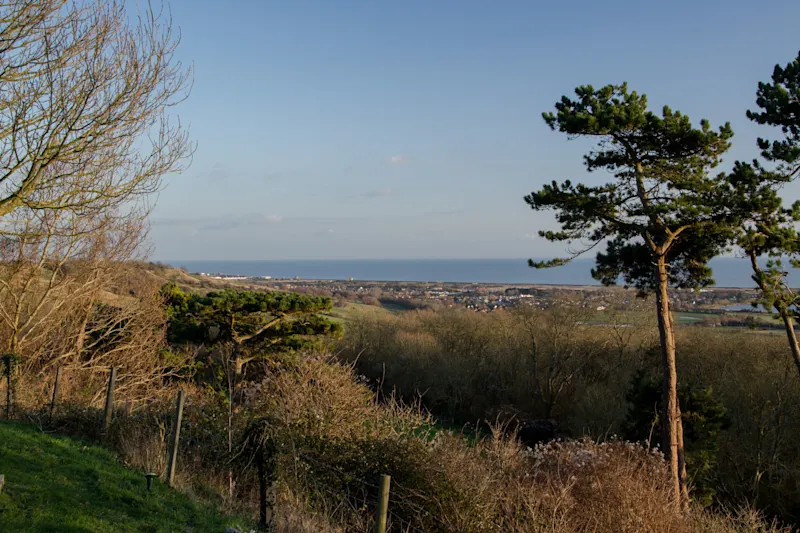 Photo from Lympne, England