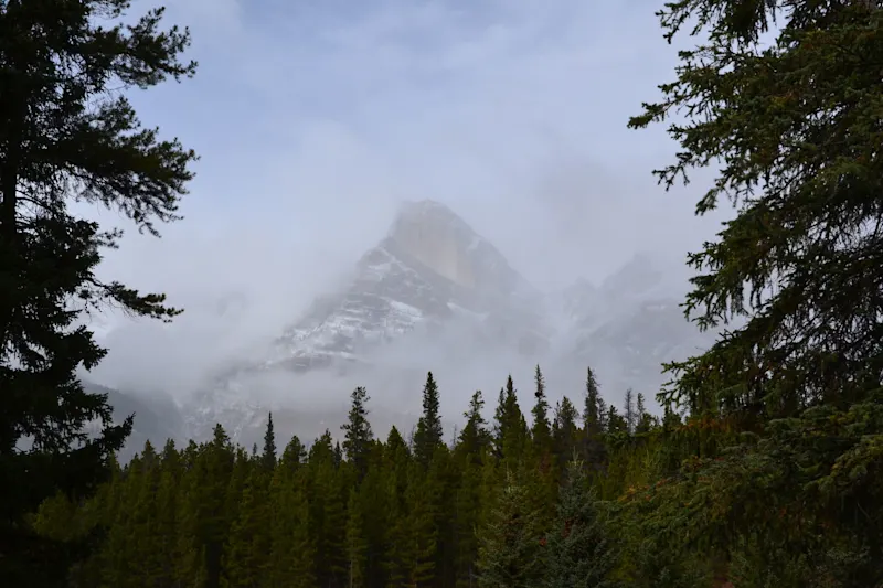 Photo from Icefields Parkway, Canada