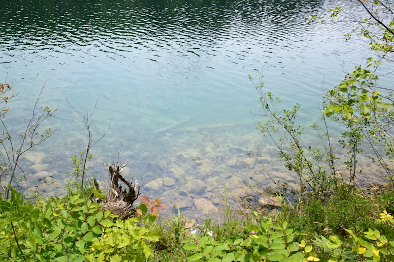 Photo from Ottawa, Canada