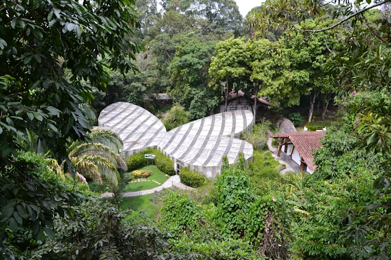Photo from Quindio, Colombia