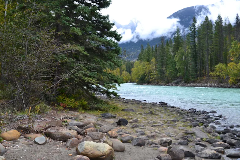 Photo from Yellowhead, Canada
