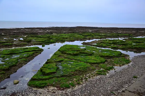 Preview of Margate