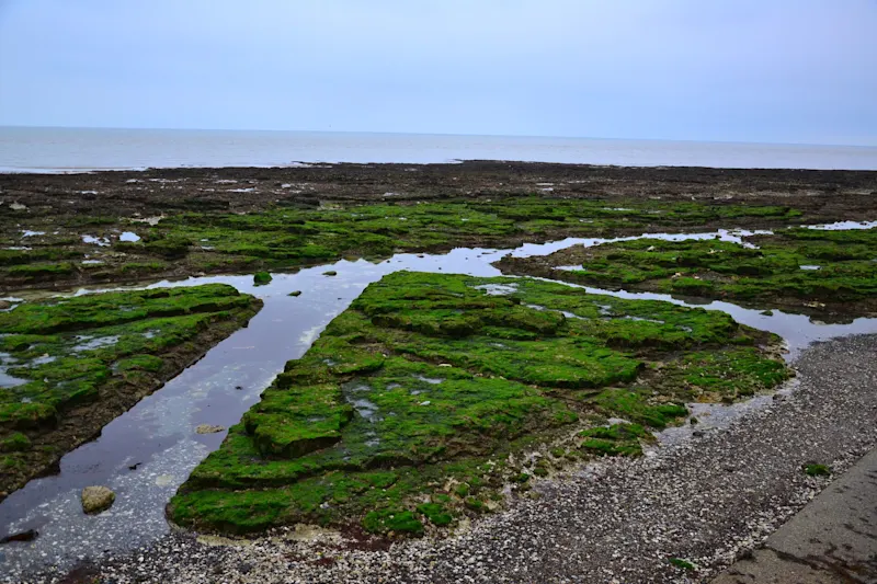 Photo from Margate, England