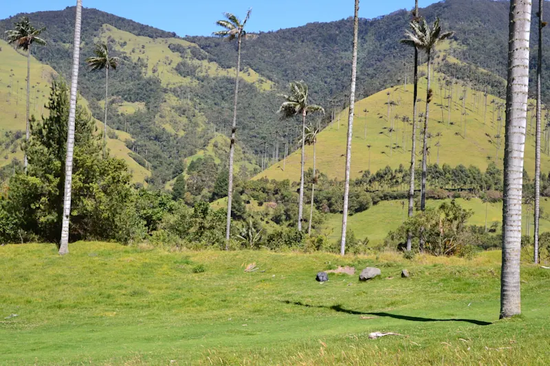Photo from Quindio, Colombia