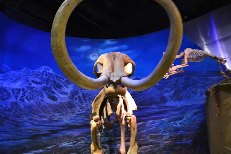 Photo from Drumheller, Canada