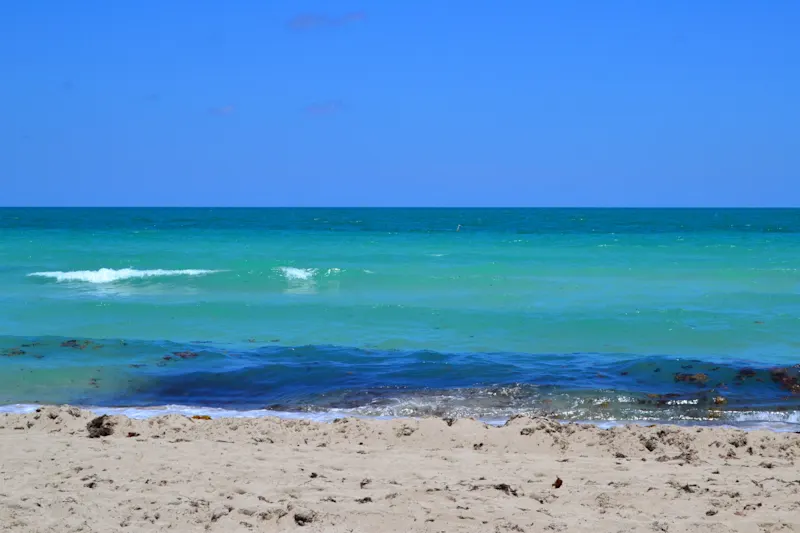 Photo from Miami, United States