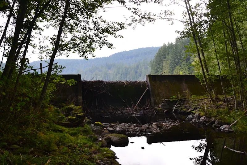Photo from Bowen Island, Canada