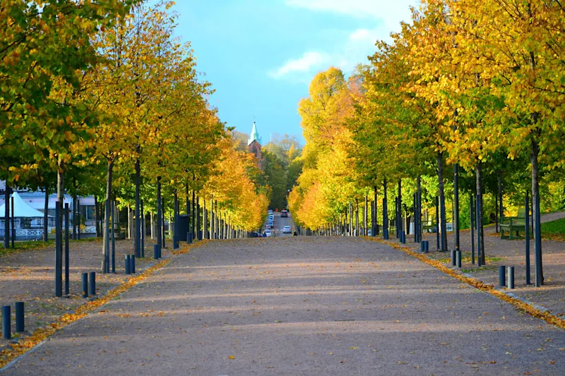 Photo from Helsinki, Finland
