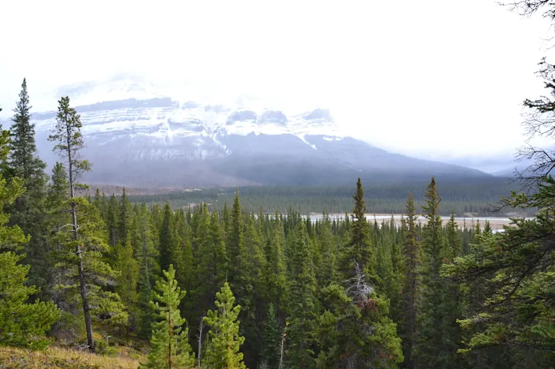 Photo from Icefields Parkway, Canada