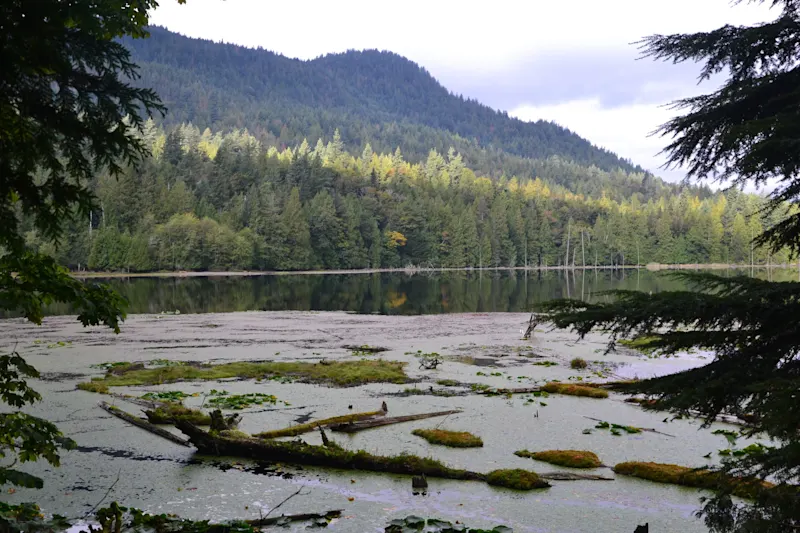 Photo from Bowen Island, Canada