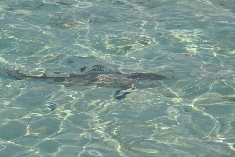 Photo from Helengeli, Maldives