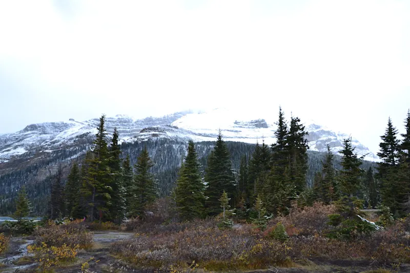 Photo from Icefields Parkway, Canada