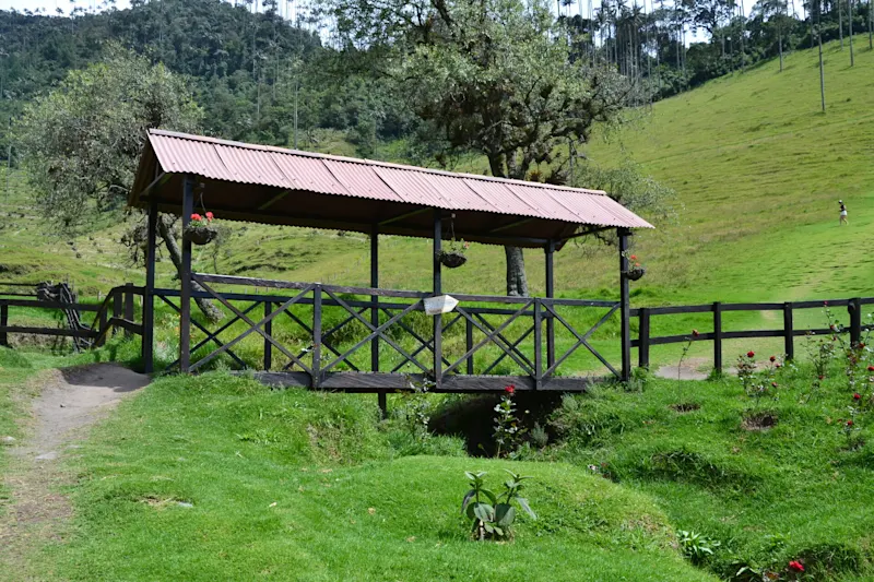 Photo from Quindio, Colombia