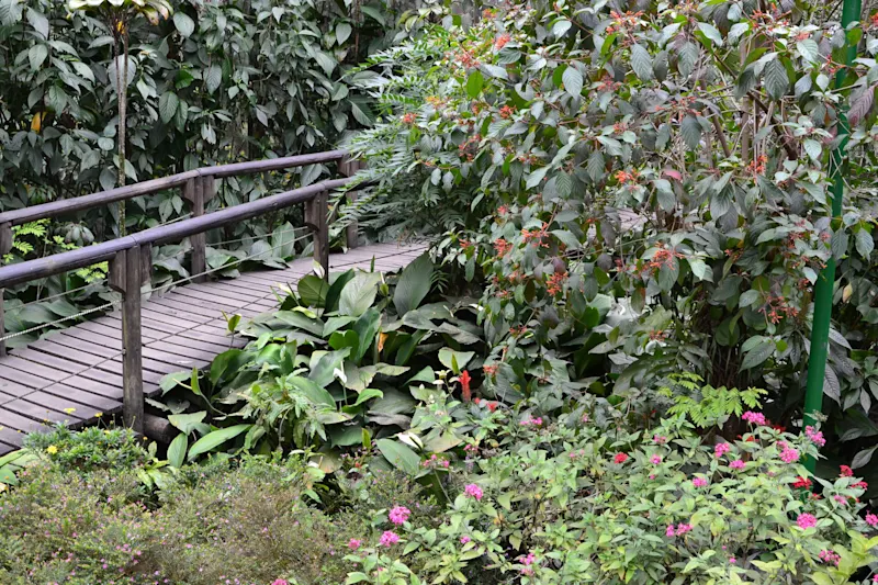 Photo from Quindio, Colombia