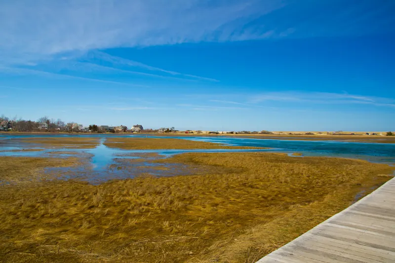 Photo from Cape Cod, United States