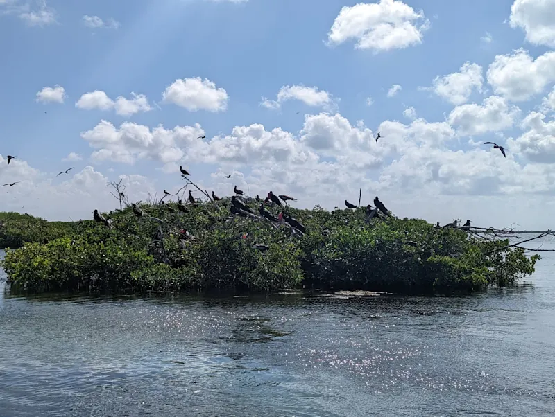 Photo from Barbuda, Antigua & Barbuda