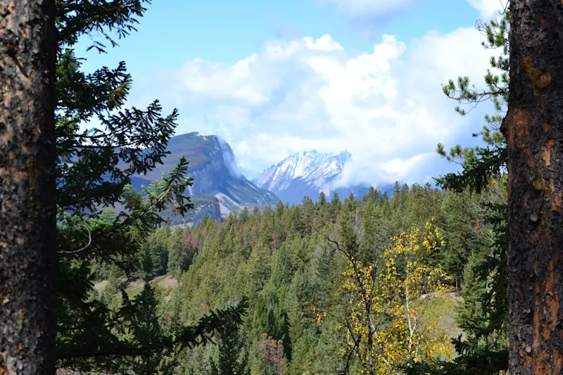 Photo from Jasper, Canada