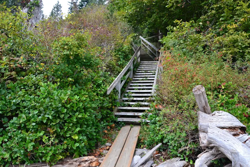 Photo from Bowen Island, Canada