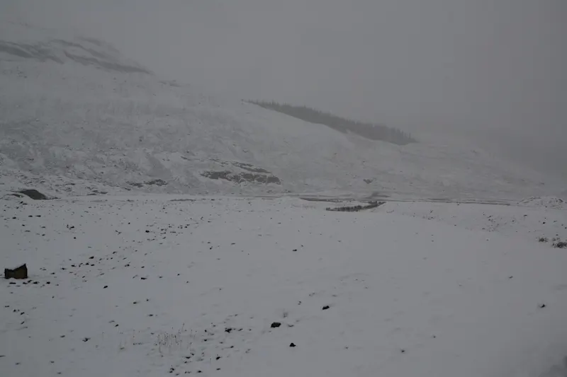 Photo from Icefields Parkway, Canada